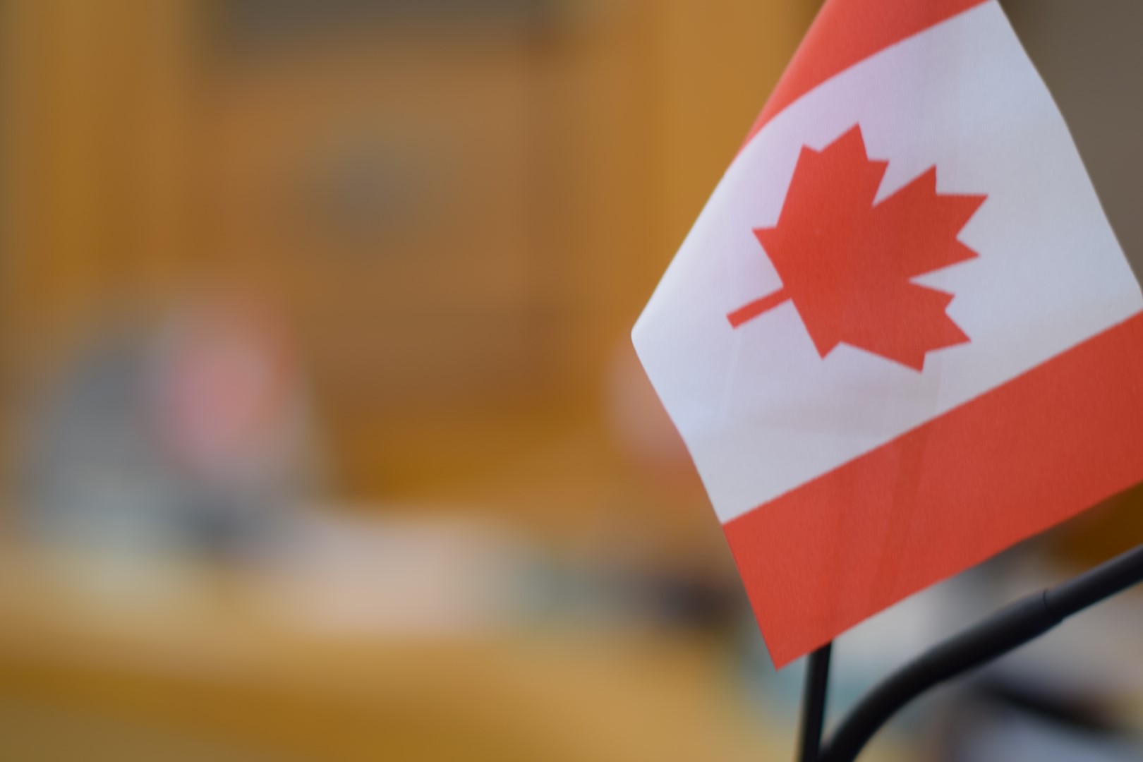 Canadian Flag inside Council Chambers