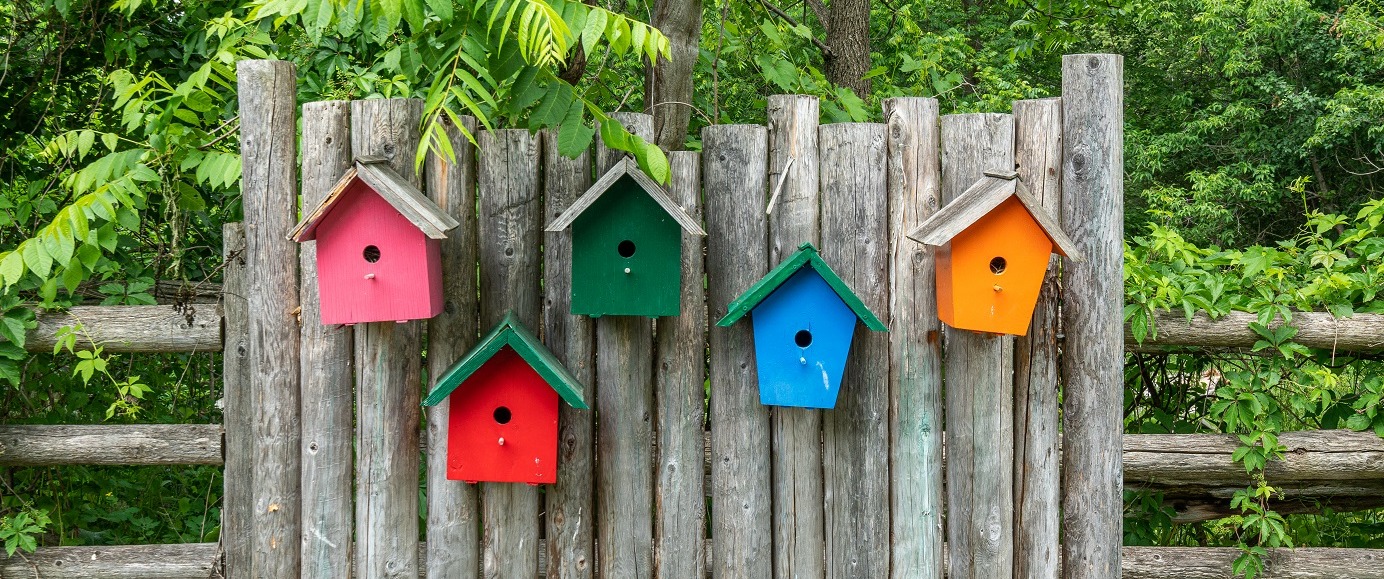 colourful birdhouses nailed to wooden fence with green tree background