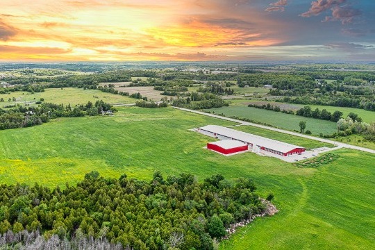 Green field with large red farm building
