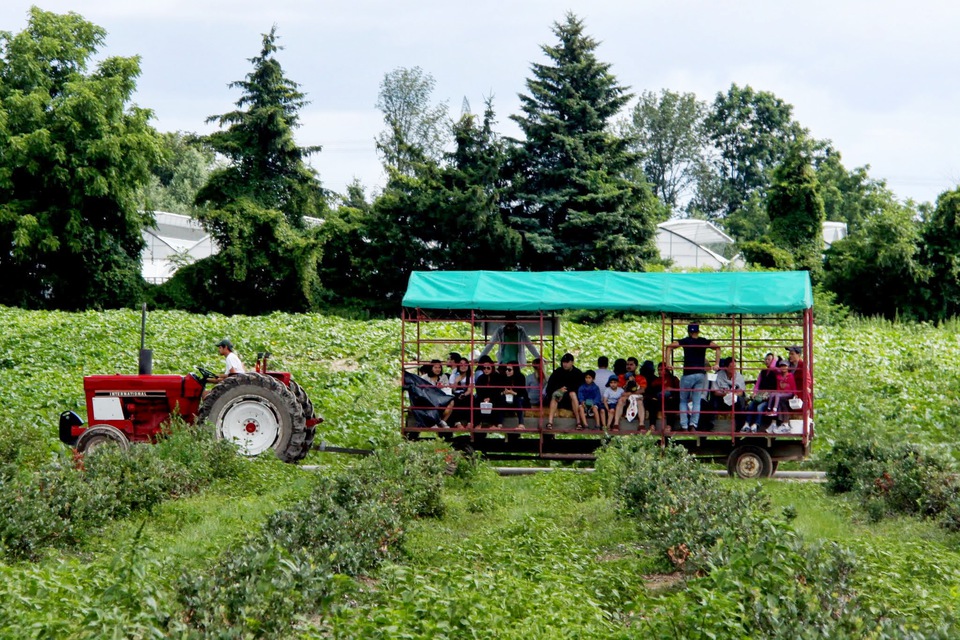 Tractor pulling wagon full of people